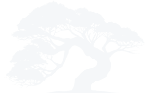 Home-Tree-watermark Home-Tree-watermark